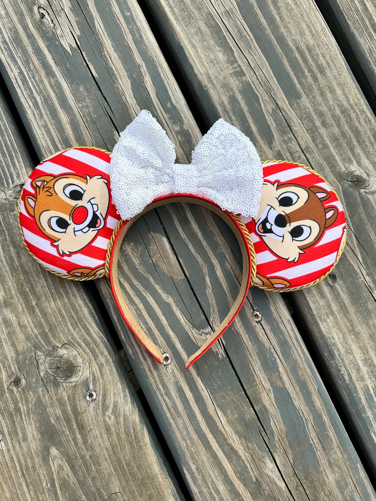 Chipmunk Stripes