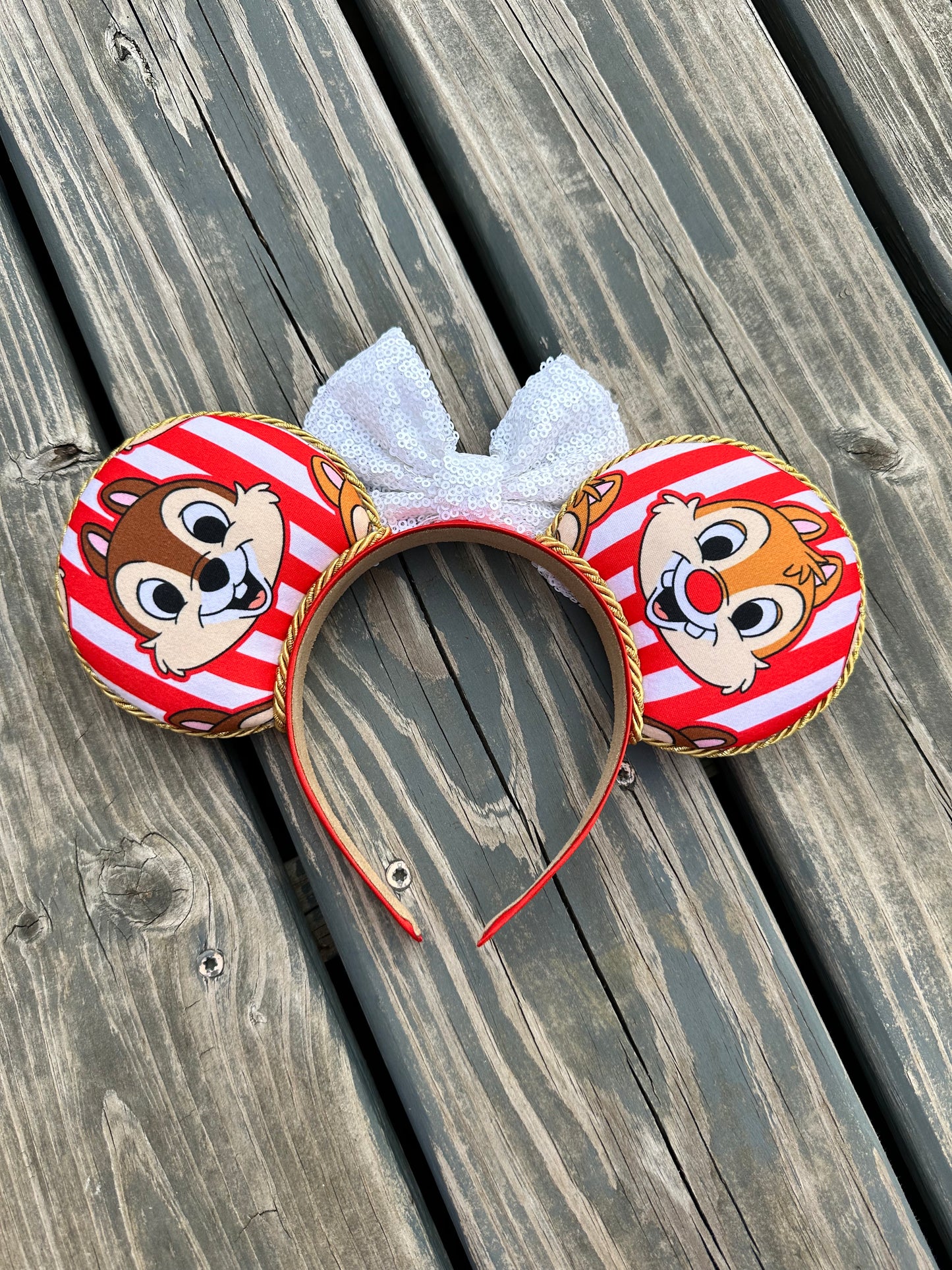 Chipmunk Stripes